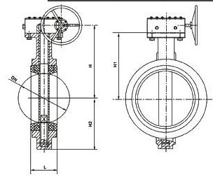 D371J蜗轮对夹式全衬胶蝶阀结构图
